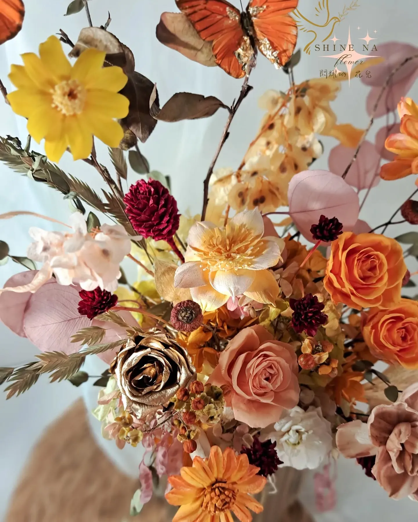 橙色陽光蝴蝶 盆花花禮