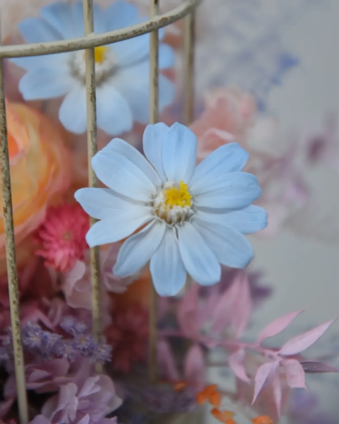 鳥籠花～講師作品展演