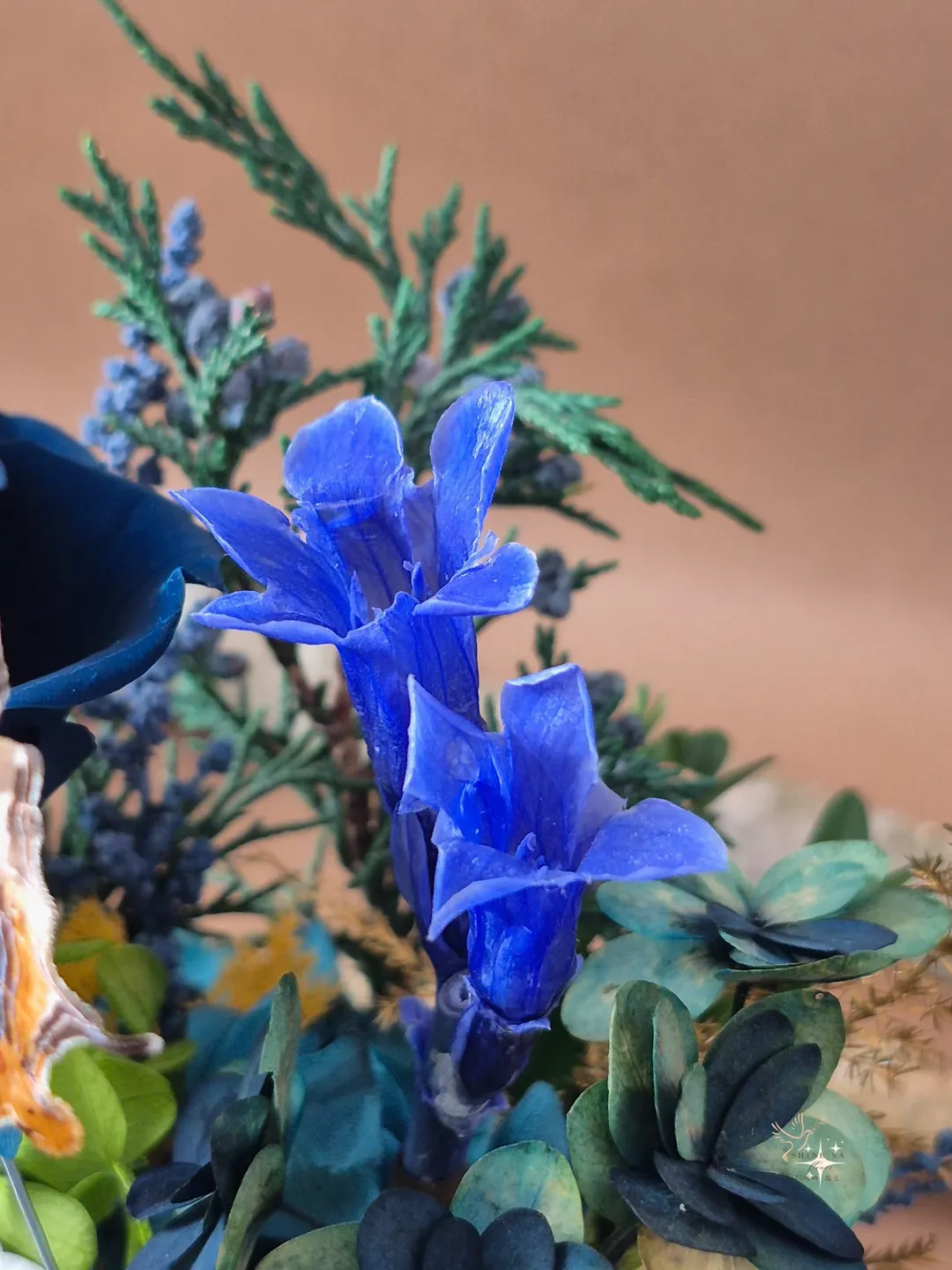 蝶舞永生系列花盅（客製花禮）