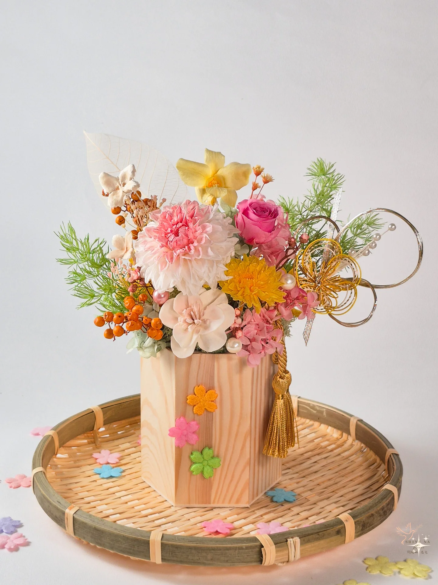 2026大理花新年盆花：花滿日常