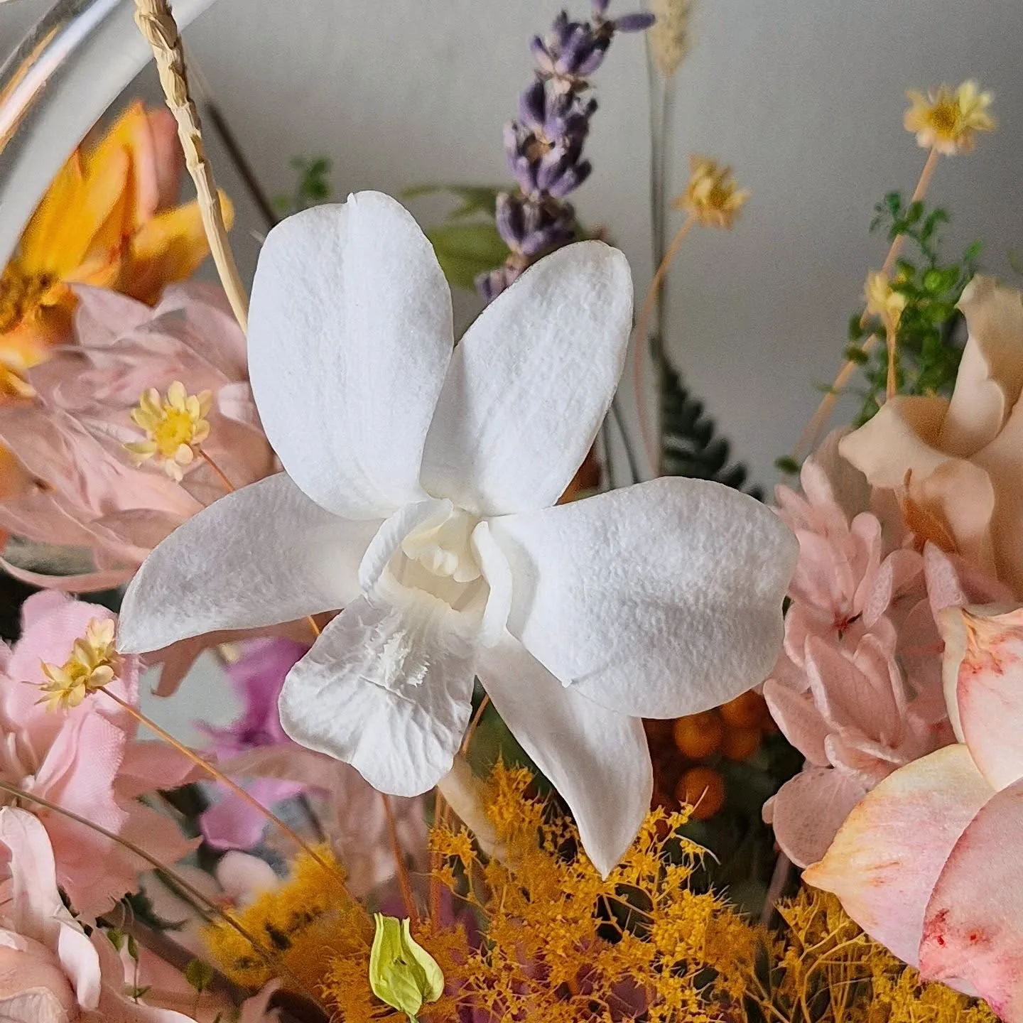 《新篇章》綻放的開始