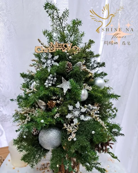 銀白色系聖誕樹（客訂）