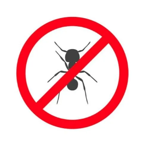 家裡螞蟻一直出現是有巢穴嗎？要怎麼才能真正根除？