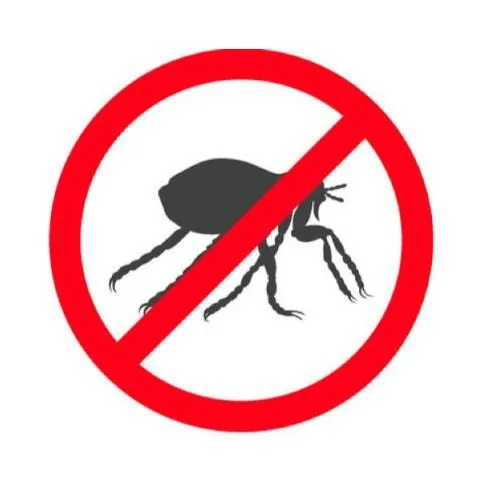 家裡一直被跳蚤咬是寵物帶的嗎？需要找專業除蟲公司嗎？