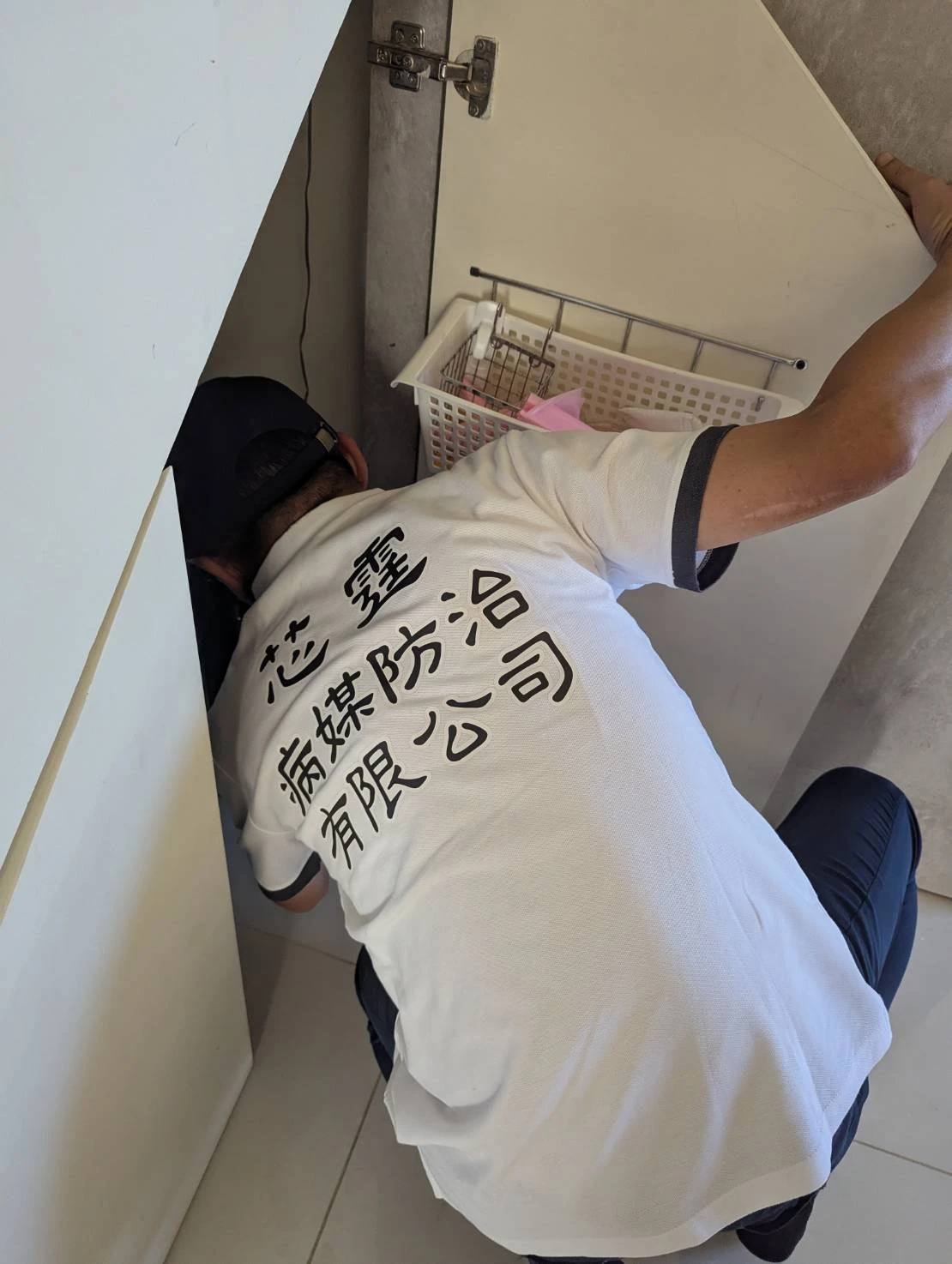 居家除蟲消毒作業