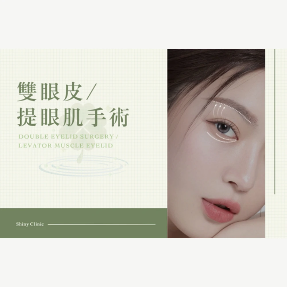 雙眼皮/提眼肌