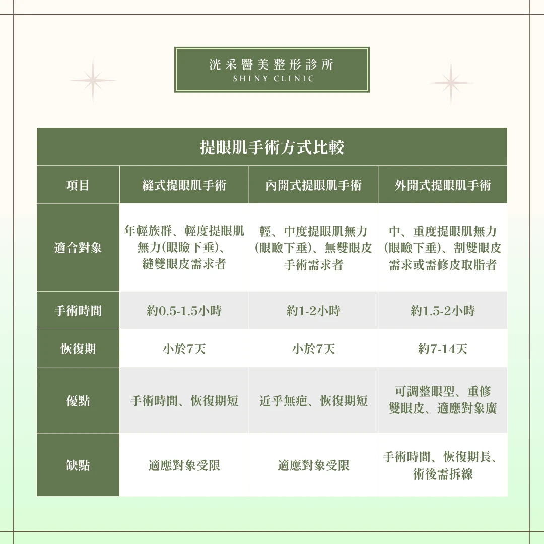 雙眼皮/提眼肌