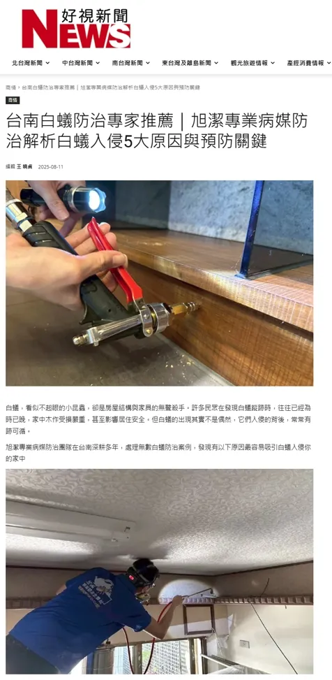 台南白蟻防治專家推薦｜旭潔專業病媒防治解析白蟻入侵5大原因與預防關鍵