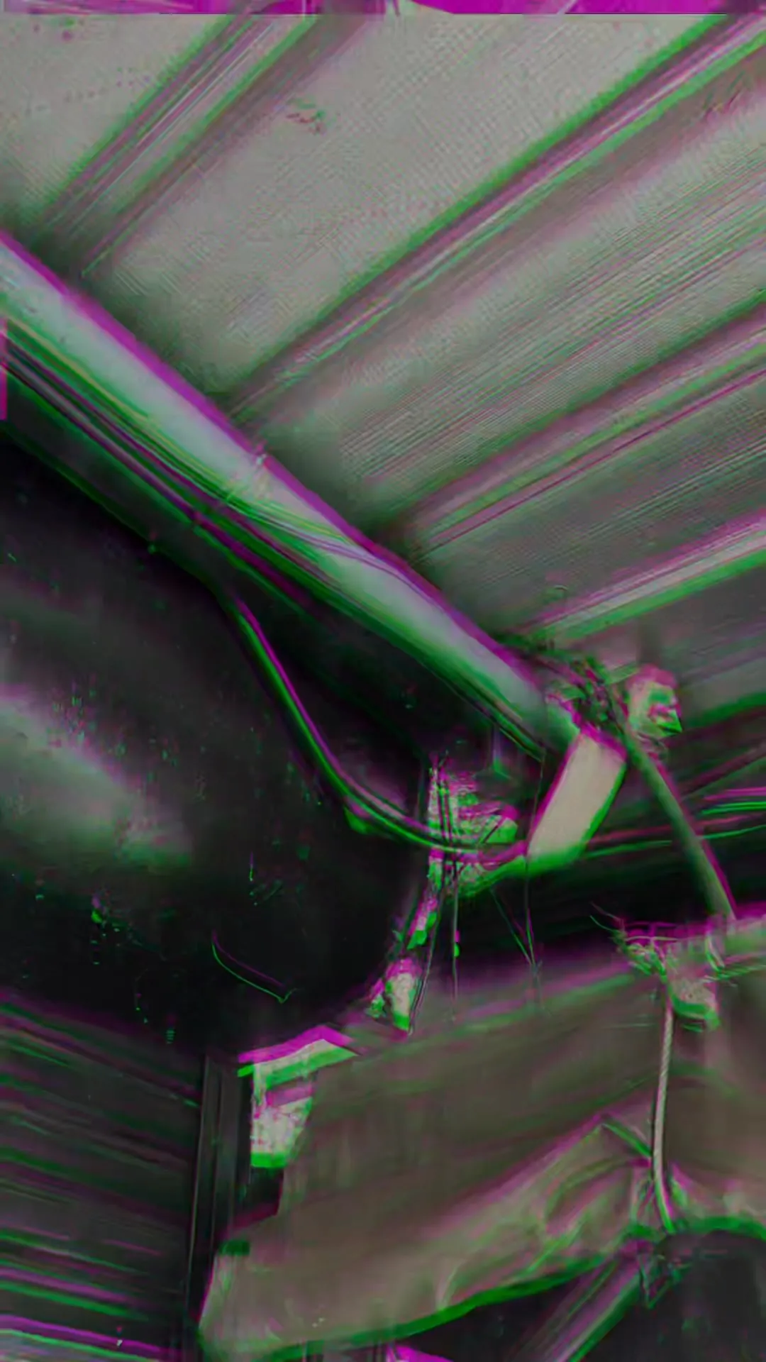 就是會看老鼠如何侵入室內活動