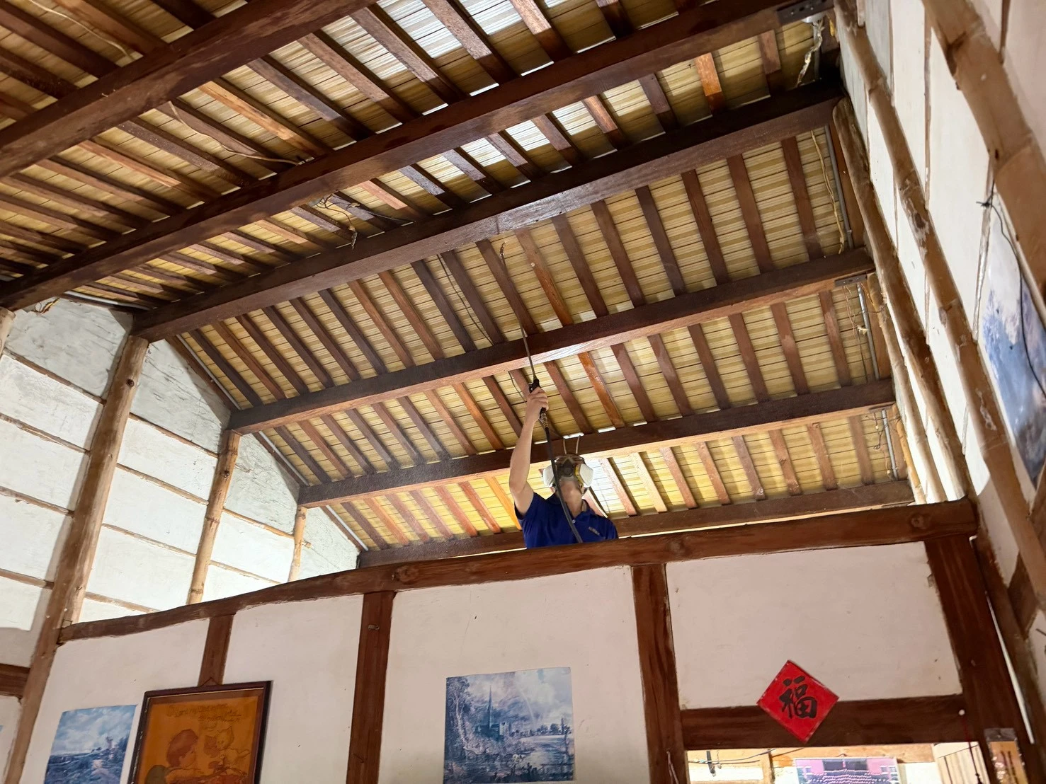 東原住家白蟻防治