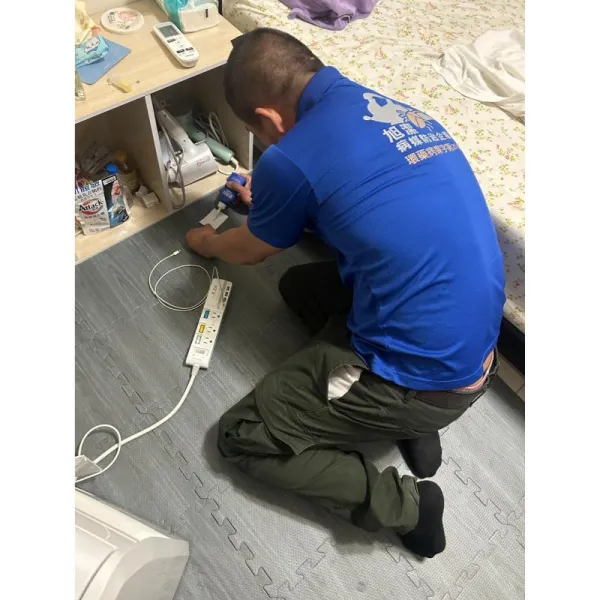 住家螞蟻防治