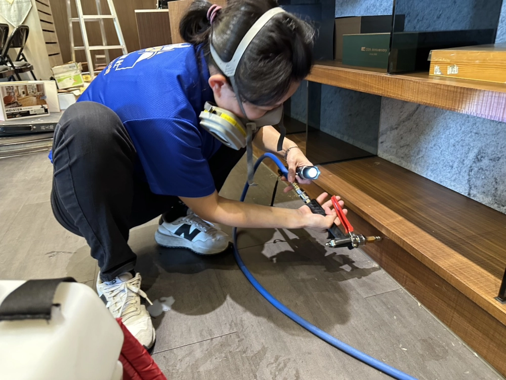 室內設計公司辦公室白蟻防治