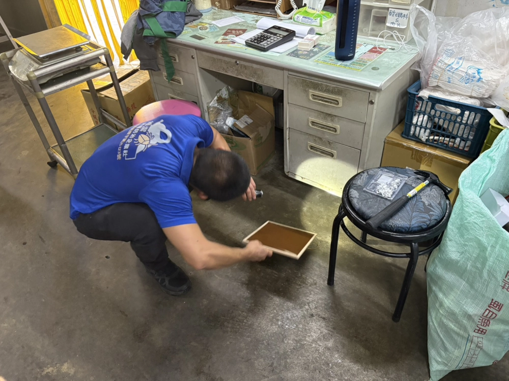 食品廠滅鼠作業