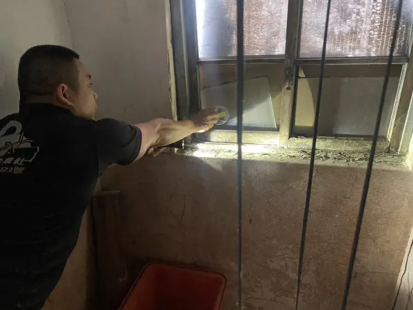 早午餐滅鼠及封堵