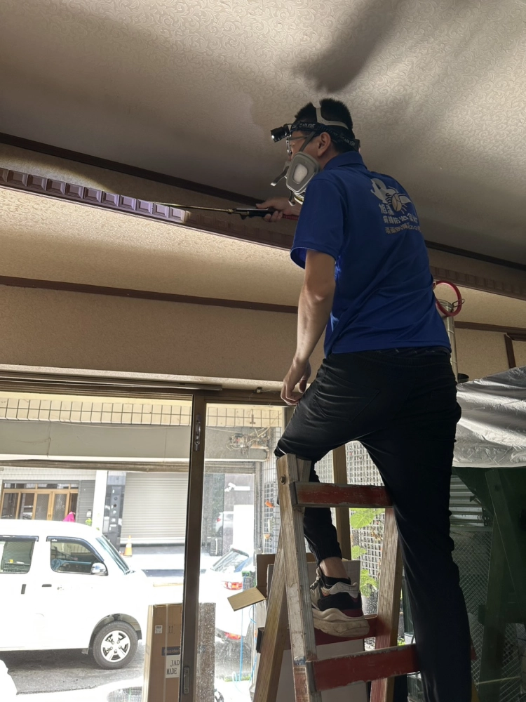 水族館除白蟻作業
