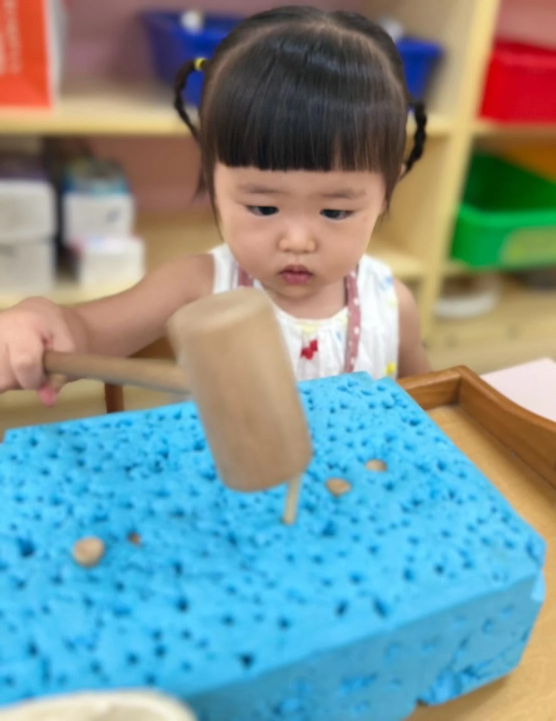 海豚-蒙特梭利操作工作