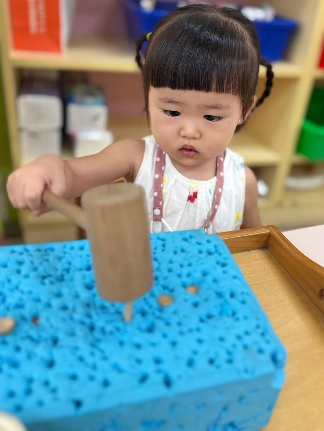 海豚-蒙特梭利操作工作