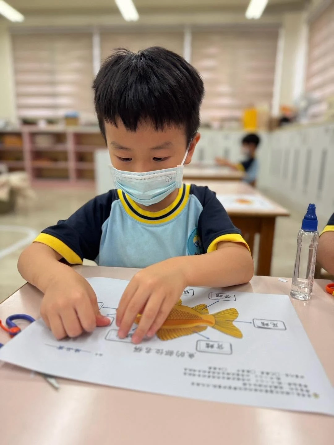 魚的觀察與部位認識