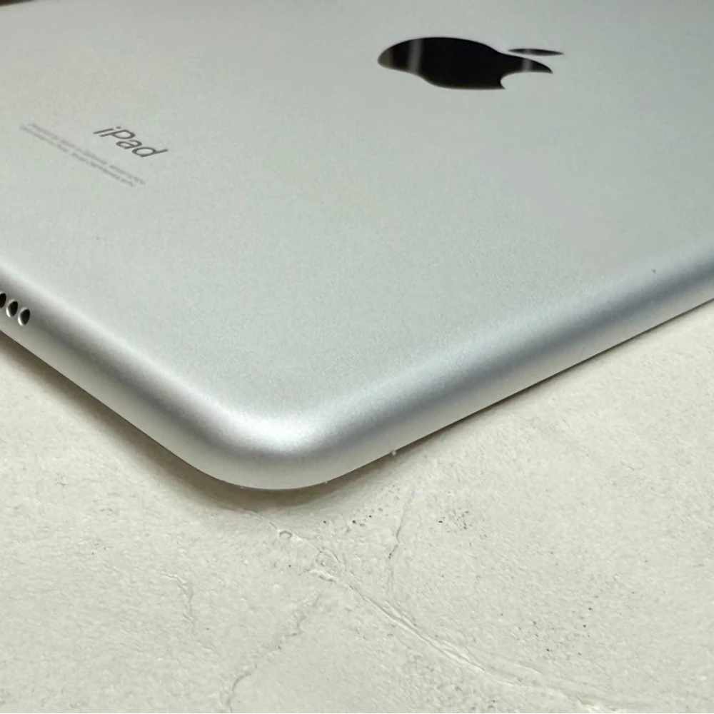 IPad MIni5  LTE 256G 銀 可插卡 追劇 上課超方便 無盒裝有配件