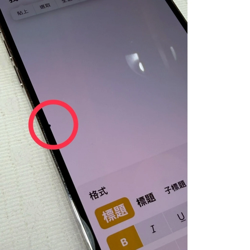 iPhone 13 PRO MAX 256g 白 副廠電池100% 螢幕有一點漏液 無盒裝有配件