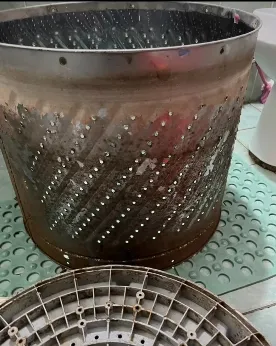 這不是考古現場，是我們今天打開的洗衣機? 短短4年，裡面已經「另有天地」了！！高雄洗衣機清洗推薦