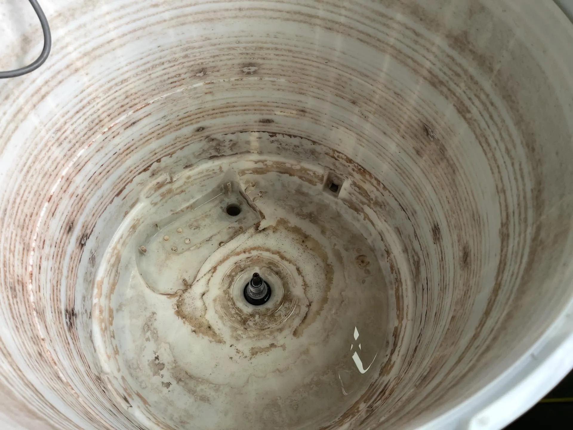 楠梓區張小姐 直立式洗衣機清洗