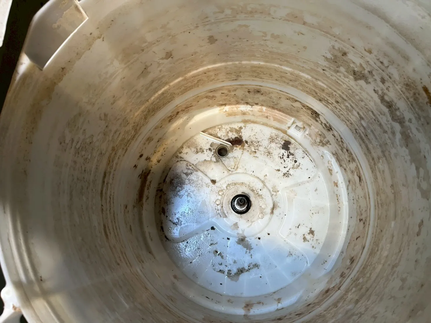 高雄市新興區直立式洗衣機清洗