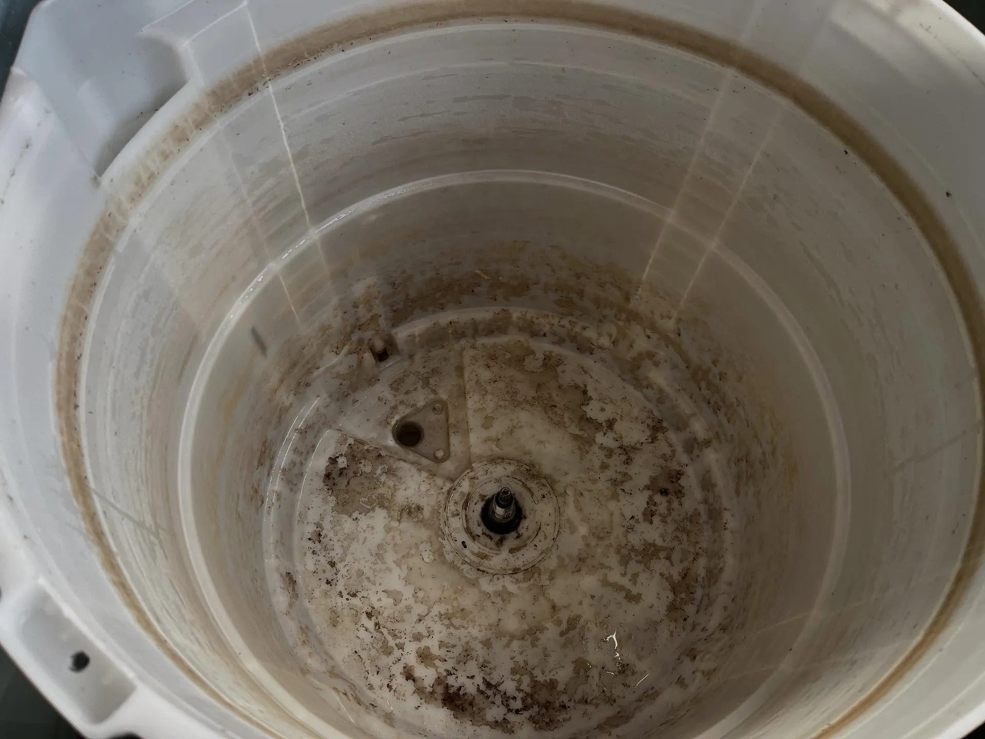 鳳山區鍾小姐以及蔡小姐 直立式洗衣機清洗