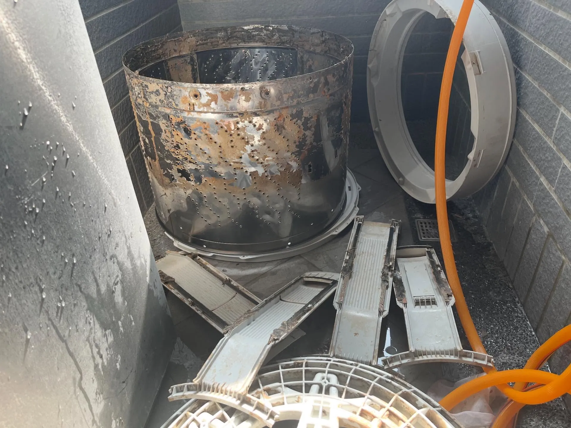 紀念一下第一個來自脆的客人