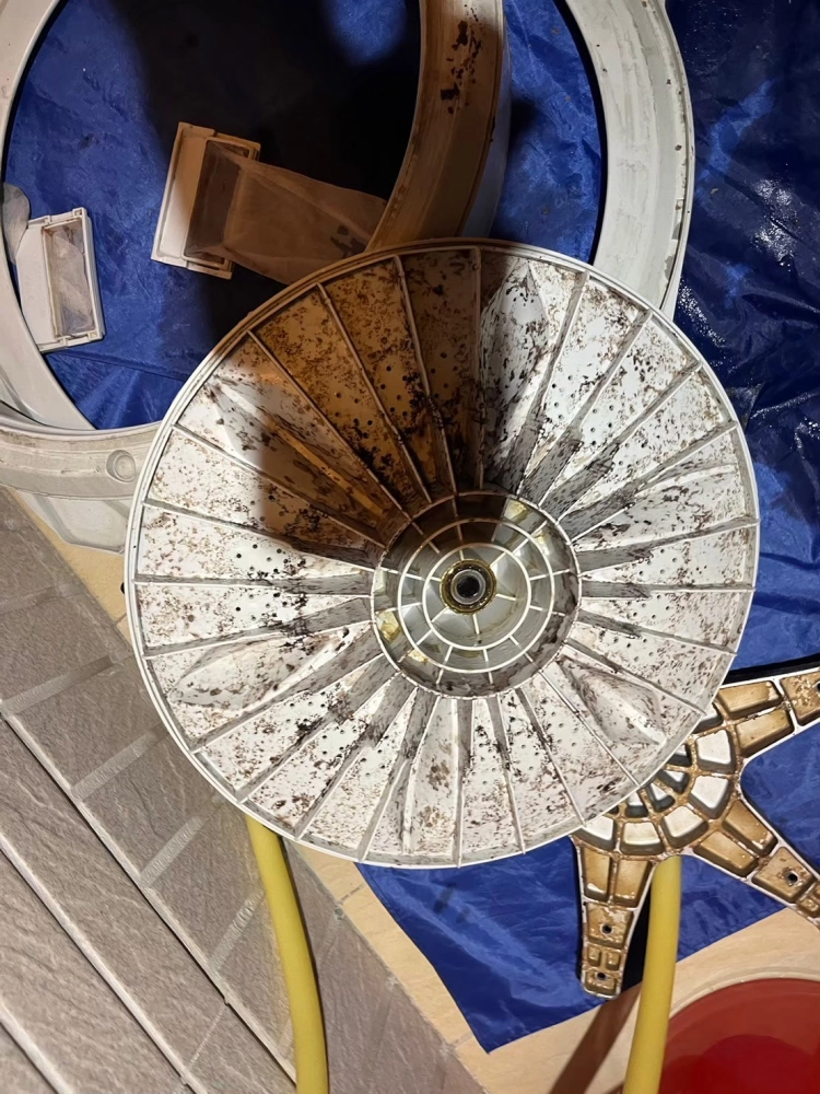 高雄左營區 直立式洗衣機清洗/高雄洗衣機清洗/鳥松區洗衣機清洗/洗衣機清洗推薦