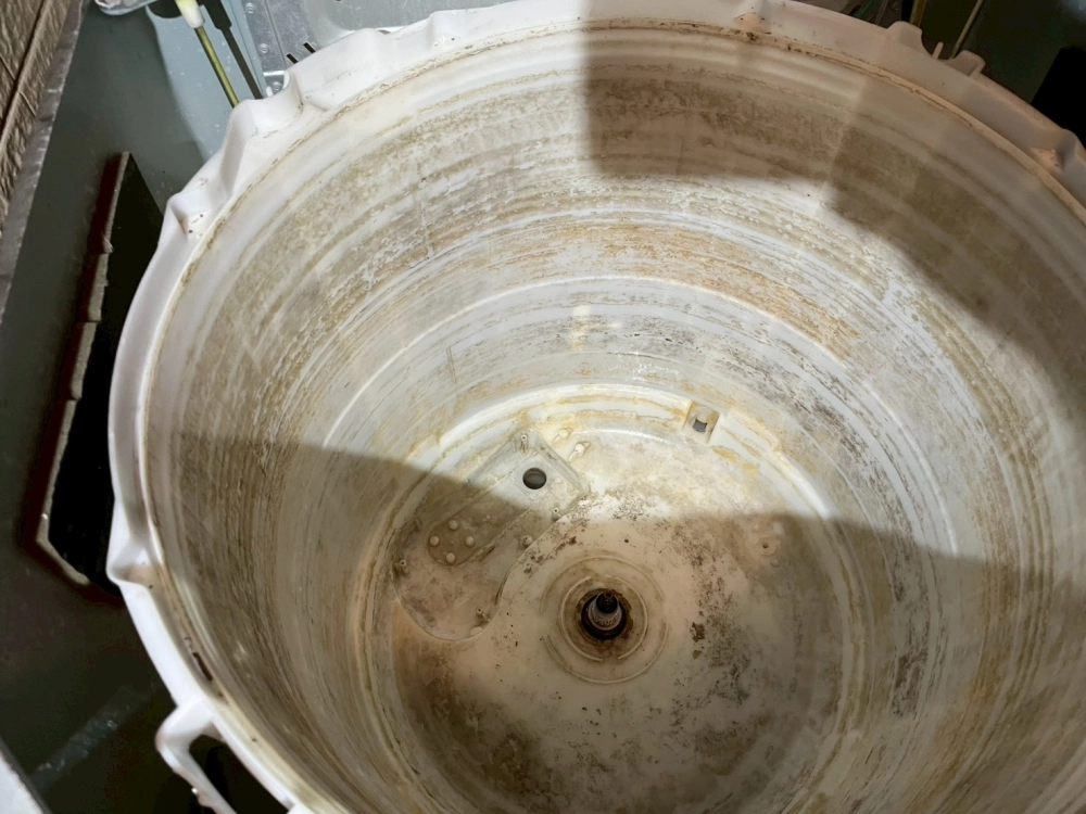 高雄直立式洗衣機清洗 / 高雄洗衣機清洗 / 仁武區洗衣機清洗