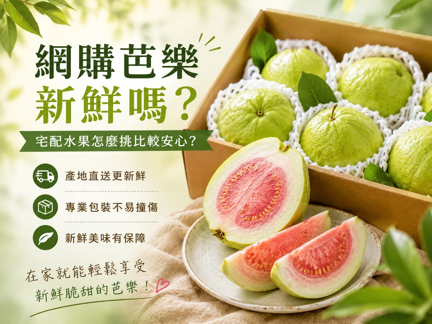 網購芭樂新鮮嗎？芭樂宅配/芭樂宅配推薦