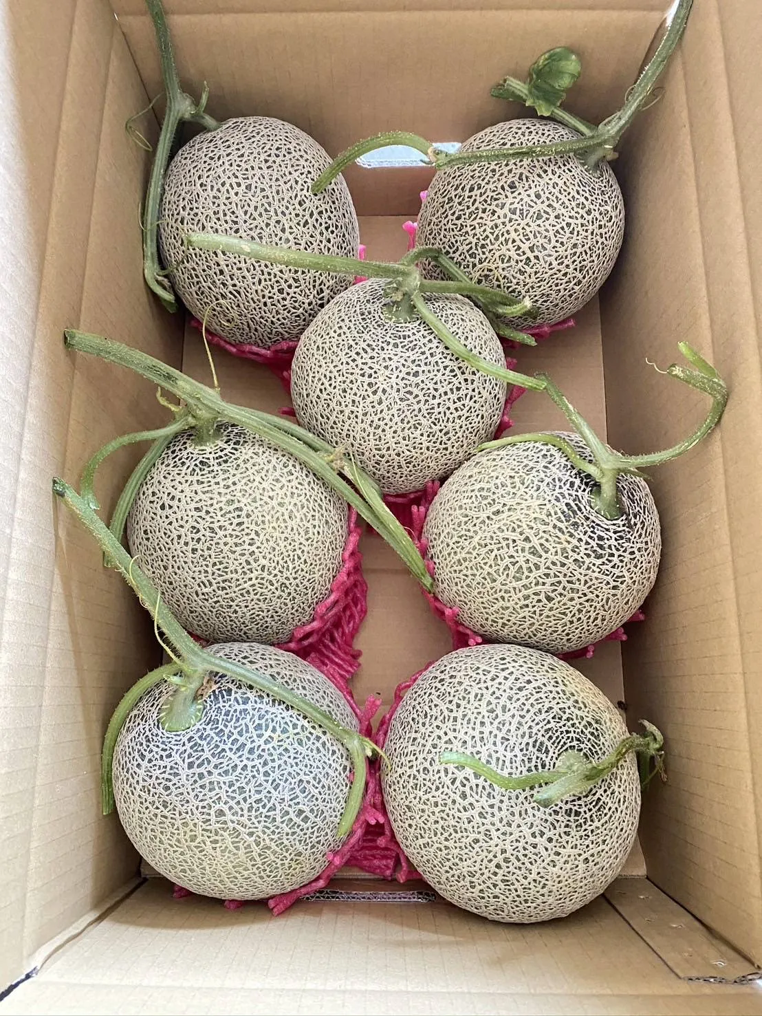 網紋哈蜜瓜 (含運費)