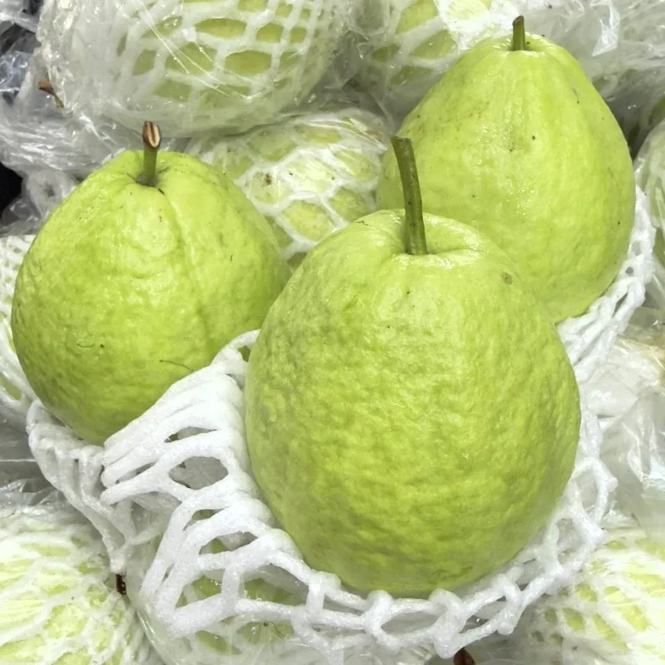 珍珠芭樂 20台斤(