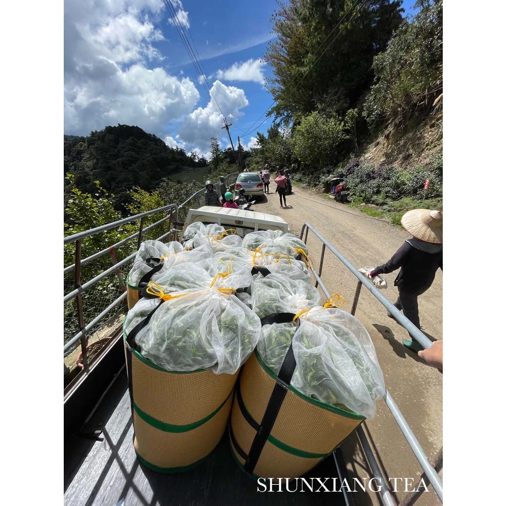 【順香茗茶】華岡烏龍茶 75g