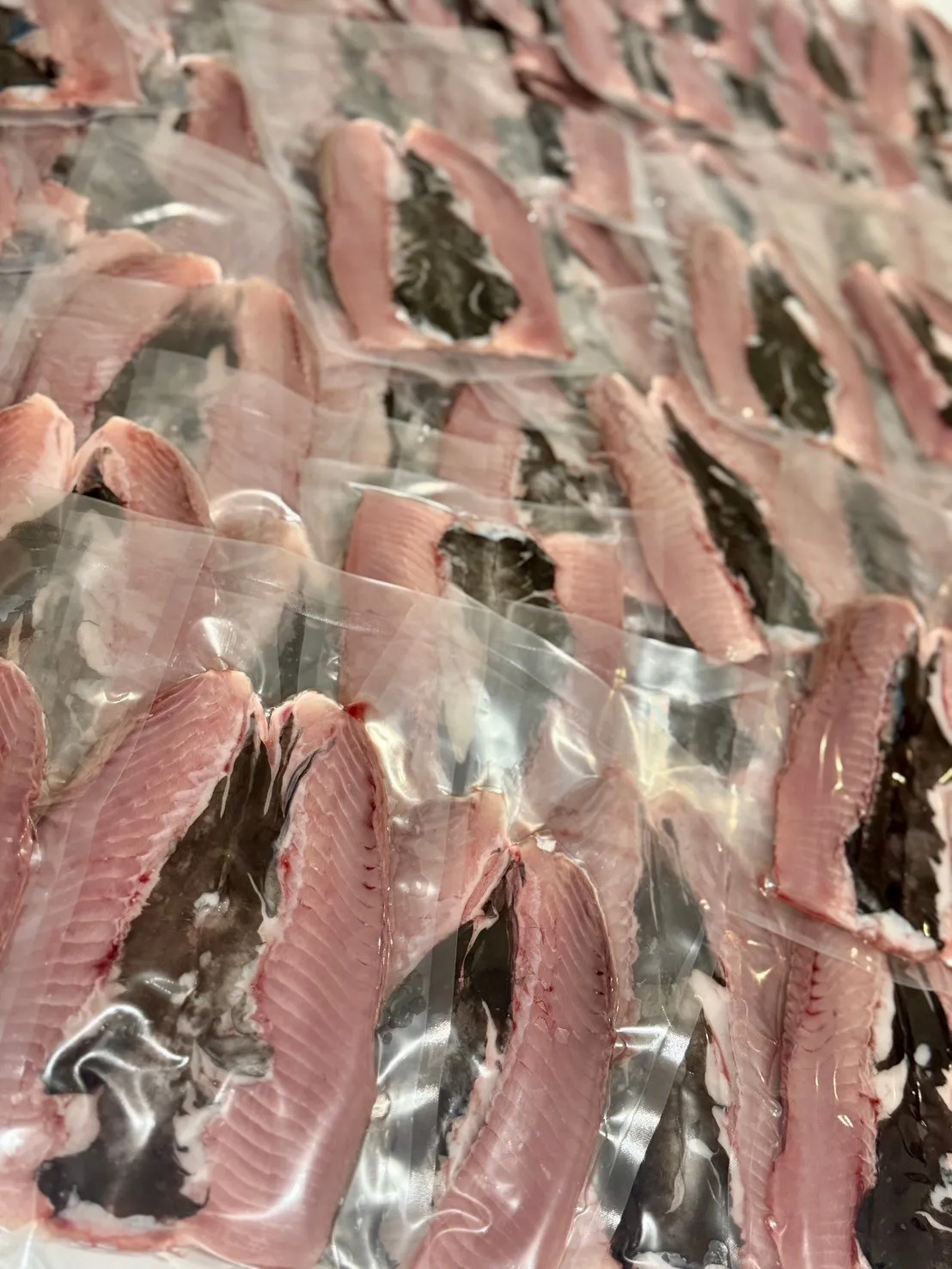 手工去刺虱目魚肚