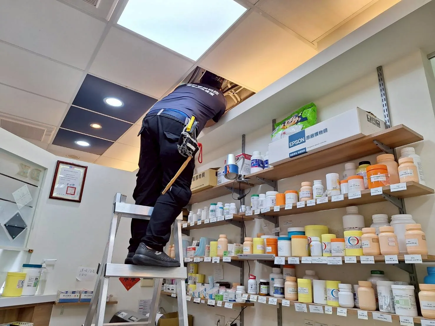 台北診所老鼠防治-台北除老鼠/新北除老鼠/中和除老鼠/永和除老鼠