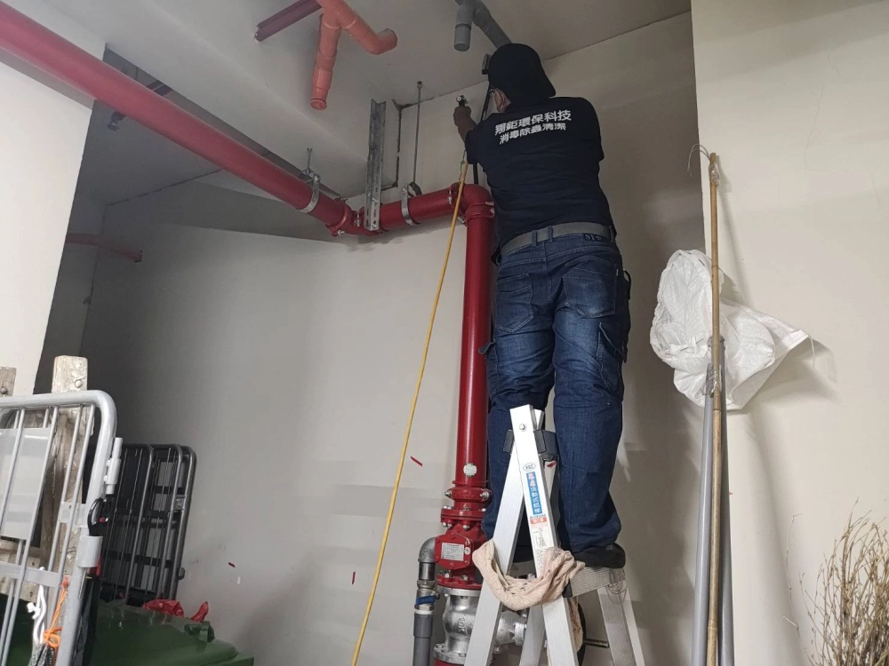 白蟻防治-灌注處理-新北除白蟻/永和除白蟻