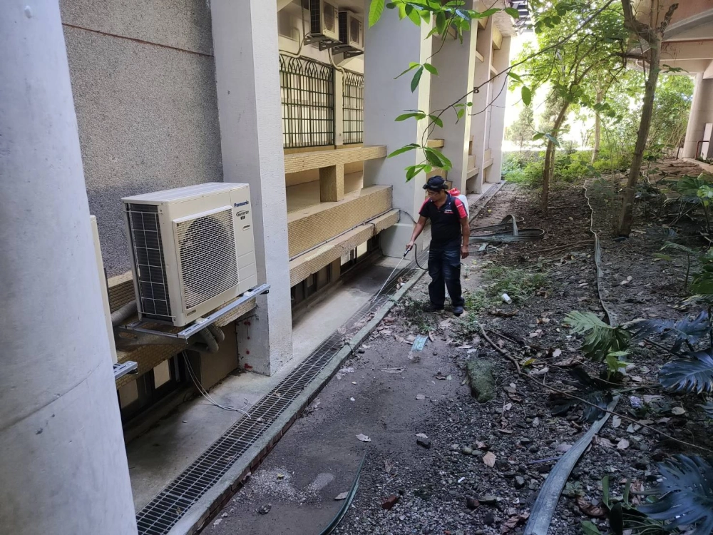 跳蚤蚊蟲防治-殘效噴灑-台北除蟲公司/中和除蟲公司