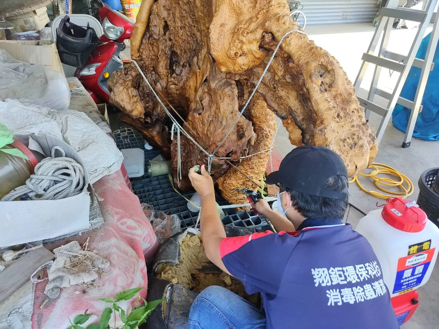 木藝蛀蟲防治-台北除蟲/台北除蟲推薦