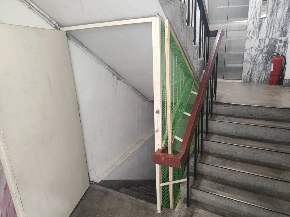 跳蚤防治-防貓網防治貓蚤-台北除跳蚤/中和除跳蚤