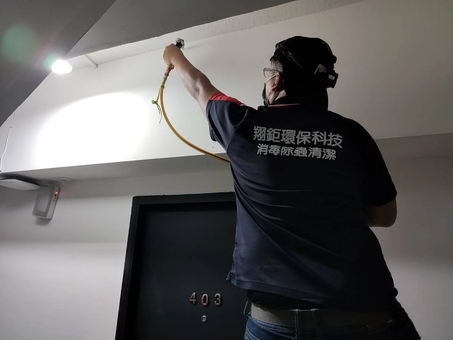 中正區白蟻防治-台北除白蟻/台北除蟲公司推薦