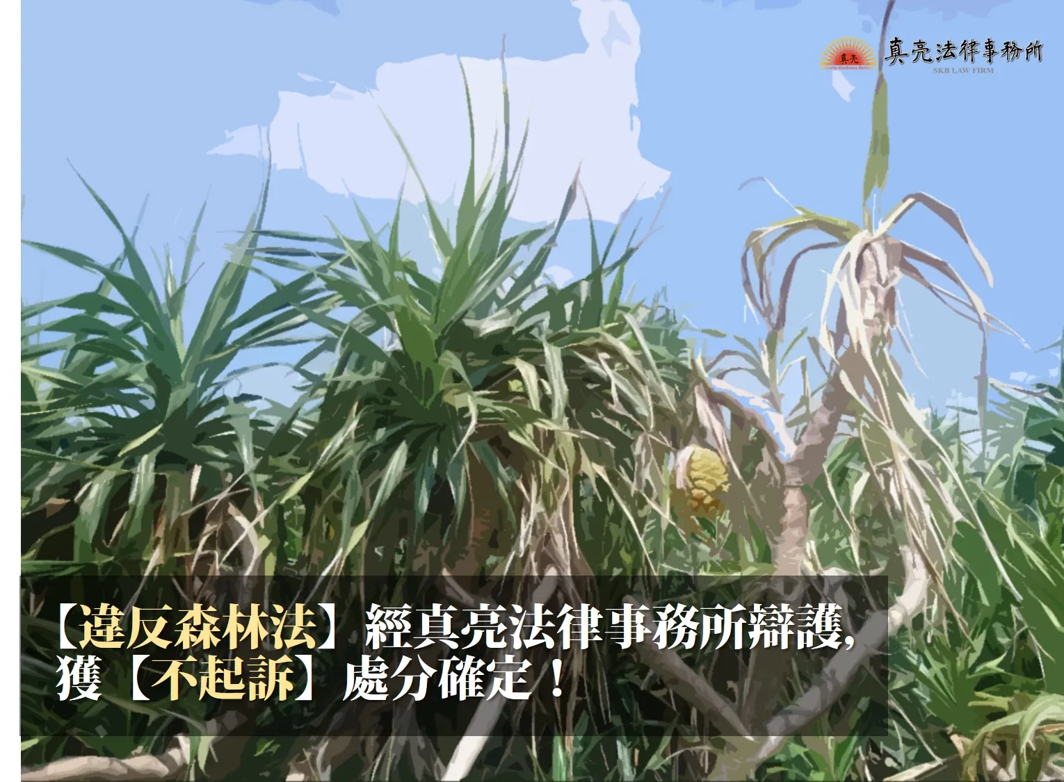 莫名其妙遭移送【違反森林法】，經真亮法律事務所辯護，獲【不起訴】處分確定！