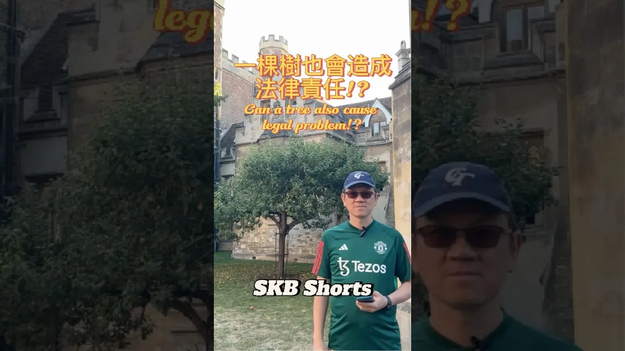 SKB Europe #12 一棵樹也會造成法律責任?