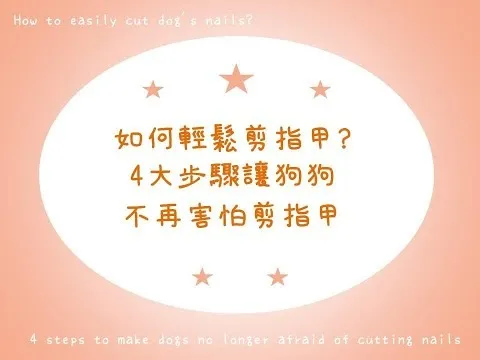 狗狗訓練Dog Training ｜如何輕鬆剪指甲?四大步驟讓狗狗不再害怕剪指甲【Ｓ蓋】