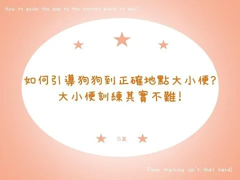 狗狗訓練Dog Training｜如何引導狗狗到正確地點大小便?大小便訓練其實不難!【S蓋】