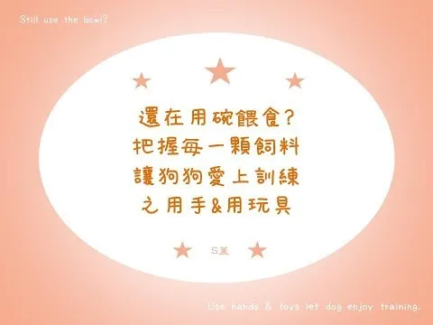 狗狗訓練Dog Training｜還在用碗餵食?把握每一顆飼料讓狗狗愛上訓練之用手&用玩具吧!【S蓋】