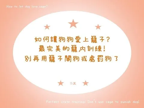 狗狗訓練Dog Training｜如何讓狗狗愛上籠子?最完美的籠內訓練!別再用籠子關狗或處罰狗了!
