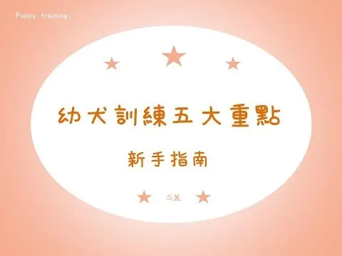 幼犬訓練五大重點，新手篇｜狗狗訓練【S蓋】