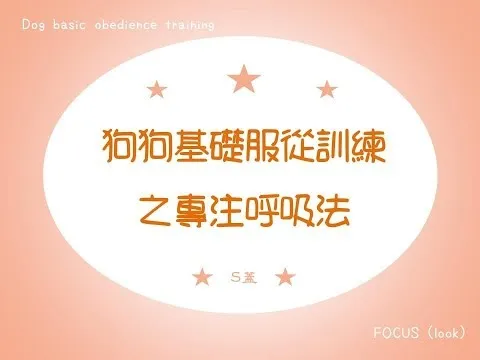 狗狗基礎服從訓練之專注呼吸法【S蓋】